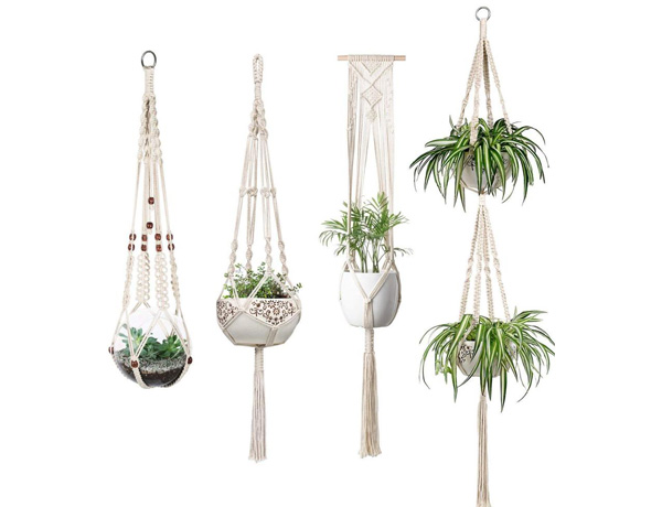 plants hanging basket