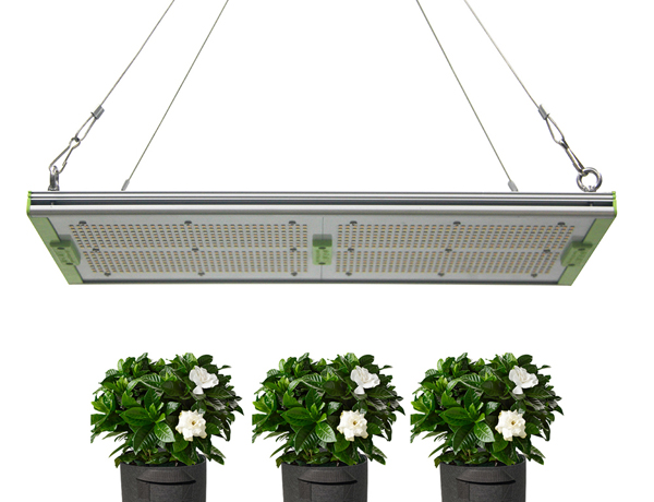 High PPFD Grow Lights For Indoor Tent