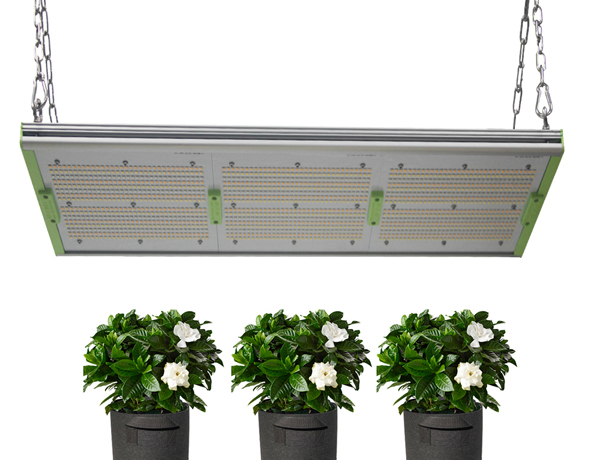 Full Spectrum LED Indoor Plants Light