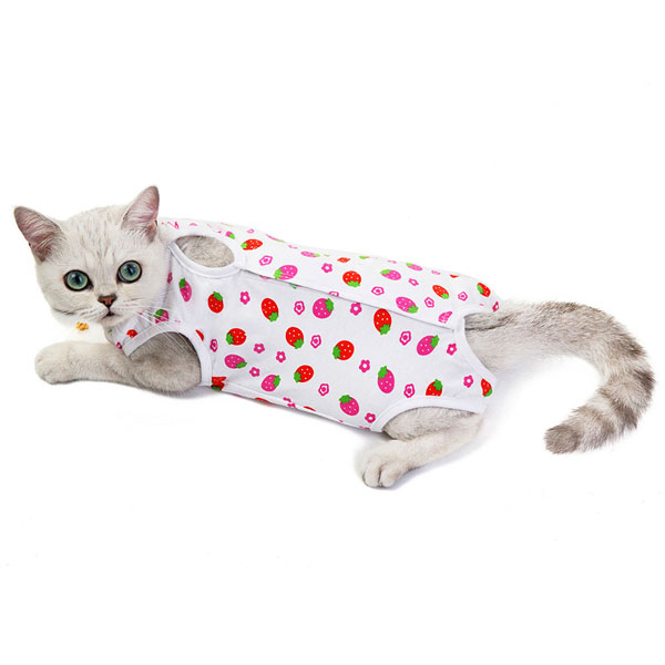 Cat-protective-clothing.jpg