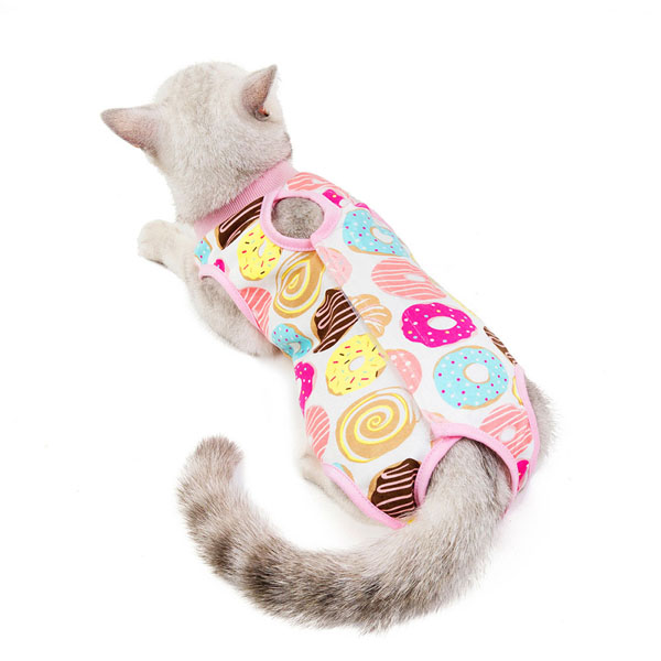 Cat-rehabilitation-suit.jpg