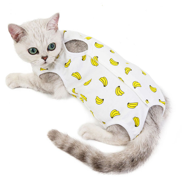 clothes-for-pets.jpg