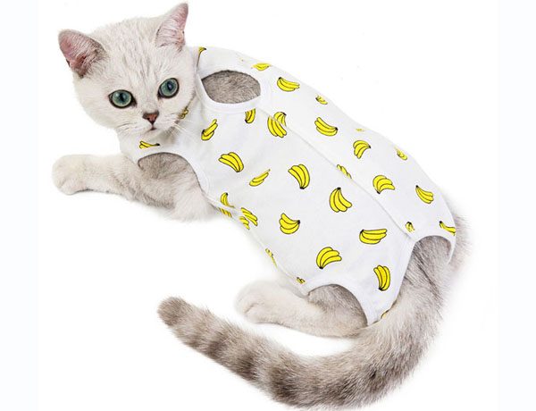 Puppy puppy cat recovery protective clothing