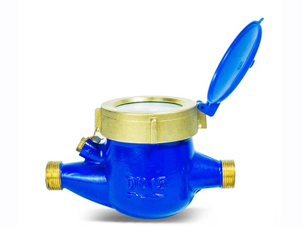 Rotor type hot and cold water meter